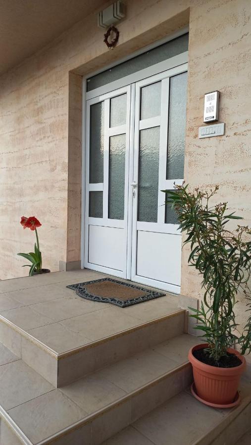 Apartman Sasa Вране Экстерьер фото